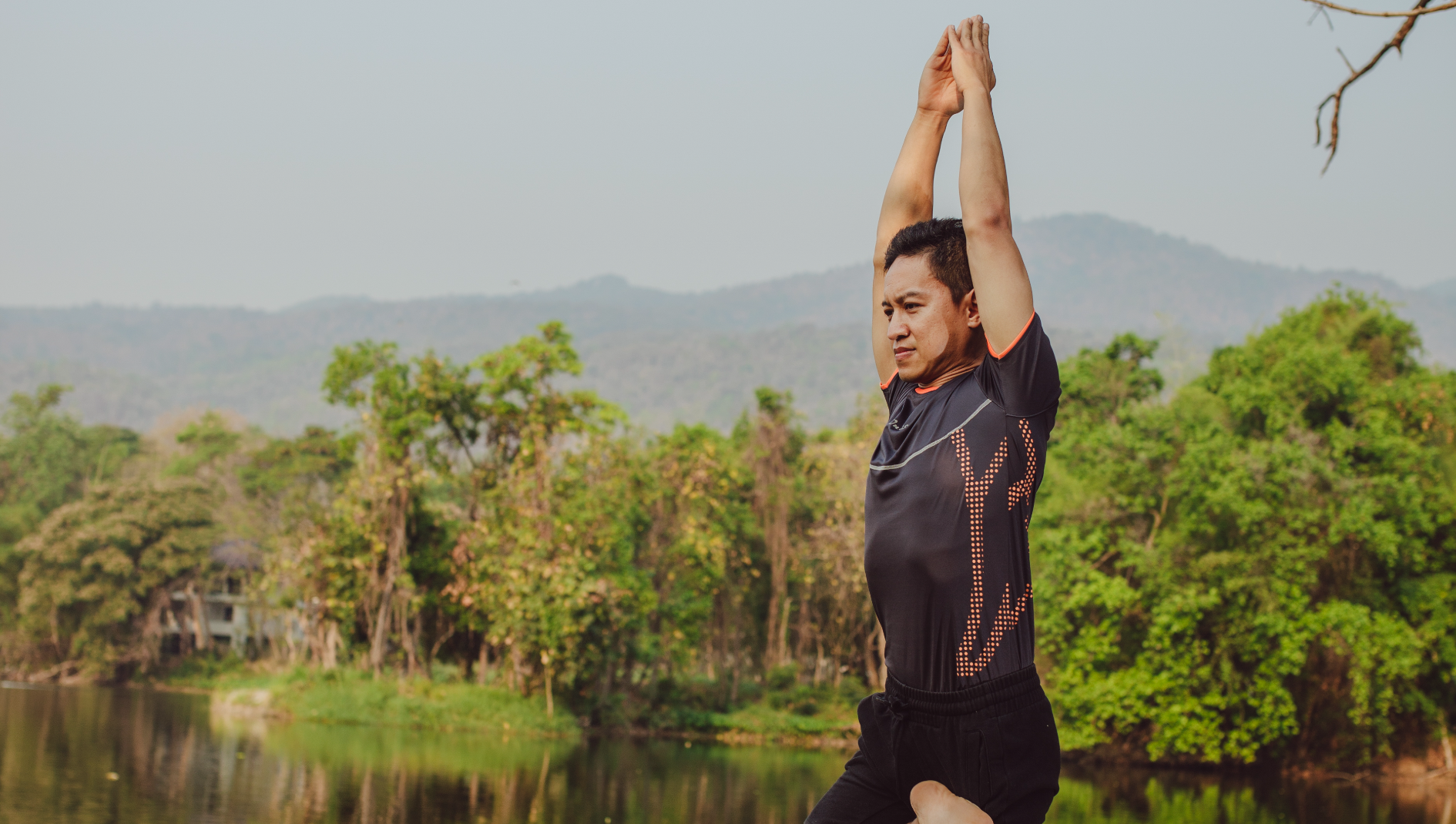 Wellness